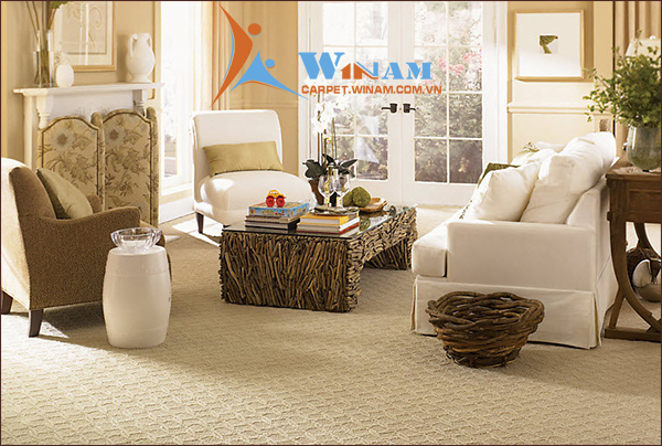 Làm thế nào để vệ sinh Thảm sàn nhà tốt hơn?